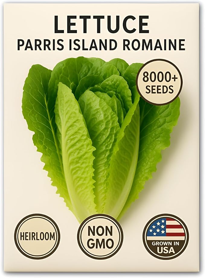 Romaine Lettuce Seeds – Parris Island Cos, 8000+ Heirloom Non-GMO Seeds, High Germination Bulk Pack, Grown in USA – Ideal for Indoor Hydroponic & Outdoor Vegetable Gardens