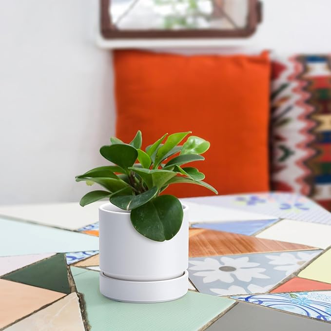 Phoenix Vine 4 Inch Planter Pot with Drainage Hole & Saucer, Deep Water Catch Tray, Straight Cylindrical Round Pot for Plants, Matte White, Pack of 1, 23-B-R-1
