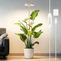SDOVUERC Full‑Spectrum Grow Lights for Indoor Plants – Adjustable Height Plant Lamp with Wood‑Grain Finish, 6/12/18H Timer, 3 Color Modes, Perfect Plant Lights for Houseplants Growing.(Pack 1)