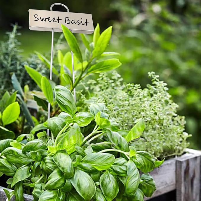 Plant Labels Metal Stainless Steel Garden Plant Markers Weatherproof Garden Stake Tag Plant Tags with Pen for Outdoor Seedling Flower Herb Vegetable Greenhouse(30 Pack) (Stainless Steel)