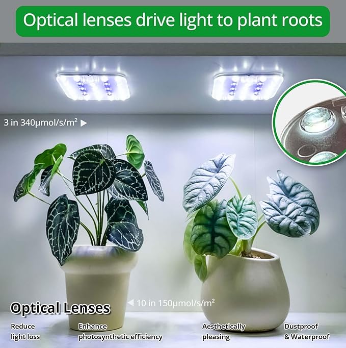 Full Spectrum LED Grow Light for Indoor Plants, 2 Panels 10W with 6/12/16h Timer Dimmable Plant Lights for Flower Veg Plant Growth USB, Bluish White, 2-Pack