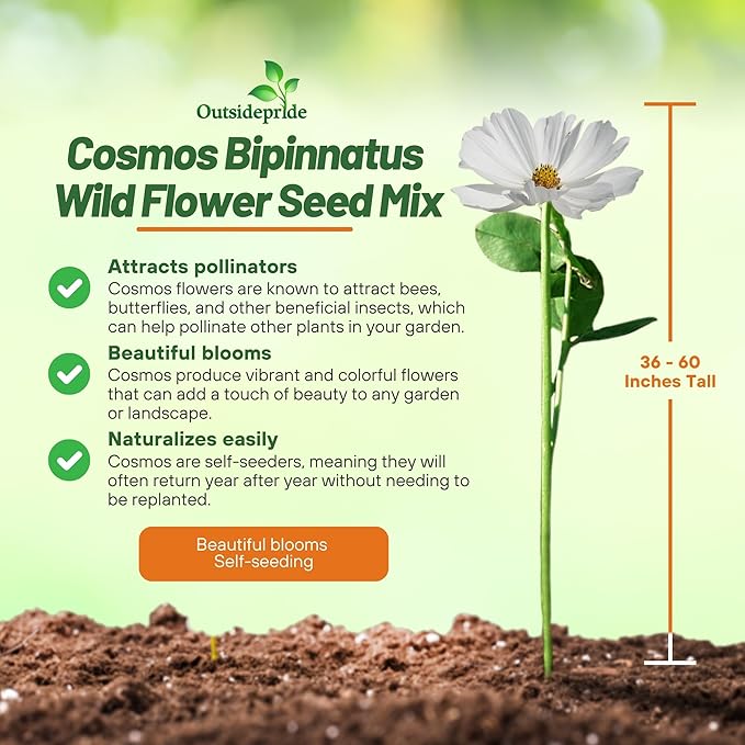 Outsidepride Sensation Mix Cosmos Bipinnatus Seeds - 1/4 lb. Annual, Drought-Tolerant, Self-Sowing, Mixed Flower Seeds for Planting Outdoors, Easy-Grow Pollinator Garden & Cut Flowers (AAS Winner)