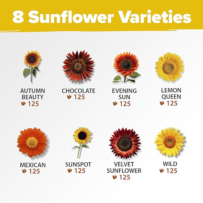 Home Grown Sunflower Seeds for Planting | 8 Varieties |1000+ Non-GMO Sun Flower Seeds Packets to Plant: Grow Dwarf Sunflowers, Mexican Sunflowers, Wild, Lemon Queen,Autumn Beauty,Sunspot, Velvet Queen
