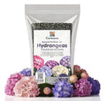 𝐁𝐄𝐒𝐓𝐒𝐄𝐋𝐋𝐄𝐑 Slow Release Hydrangea Fertilizer with Iron & Sulfur – Indoor & Outdoor Soil Acidifier for Miracle Growth - 10 QUARTS