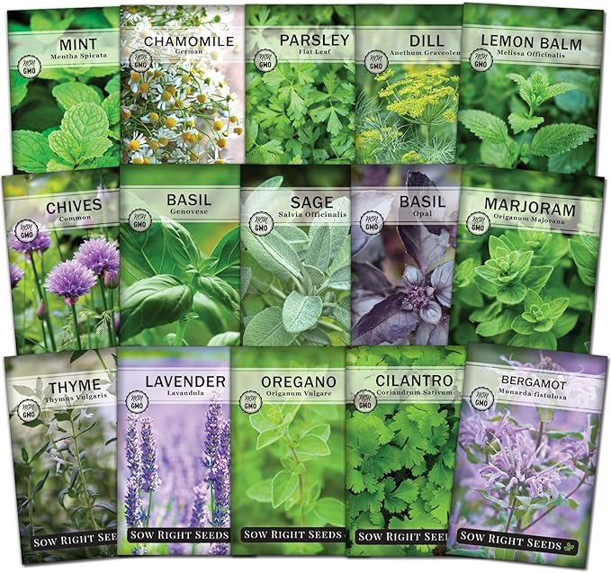 Sow Right Seeds - 15 Herb Garden Seed Collection for Planting - Essential Herbs for Cooking - Non-GMO Heirloom Packet Instructions to Grow Kitchen Garden Indoors or Outdoors - Great for Hydroponics