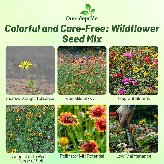 Outsidepride Southeast Wildflower Seed Mix - 1/4 lb Highly Adaptable, Easy to Grow, Low-Maintenance Mix of Annual & Perennial Wildflower Seeds for Natural Landscapes in Southeastern States