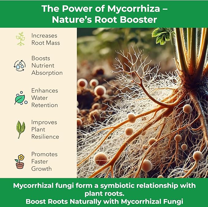 Organic Original Super Soil Concentrate with Mycorrhizae – Living Soil Boosts Roots & Buds for Seeds & Clones - Indoor & Outdoor Growing - Mix 1:4 with Topsoil Potting Soil (1 Quart)