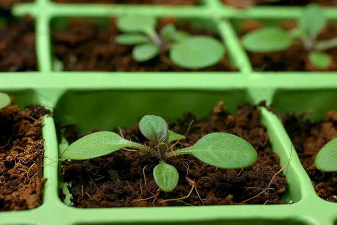 Coco Coir Brick, OMRI Listed for Organic Use (5)