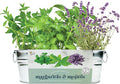 BUZZY Seeds Margarita and Mojito Windowsill Mini Garden Grow Kit, Herb Starter Set with Mint, Lime Basil and Lavender Seeds, Grow Your Own Herbs Indoors, Gardening Gift, Holiday Present