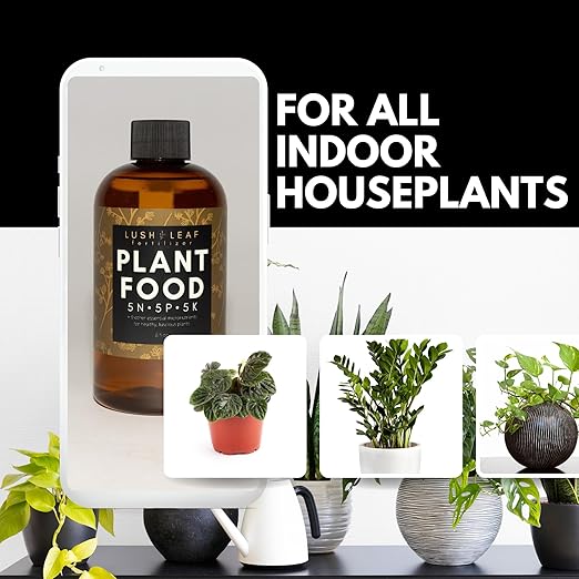 Lush Leaf | Plant Food (Indoor)