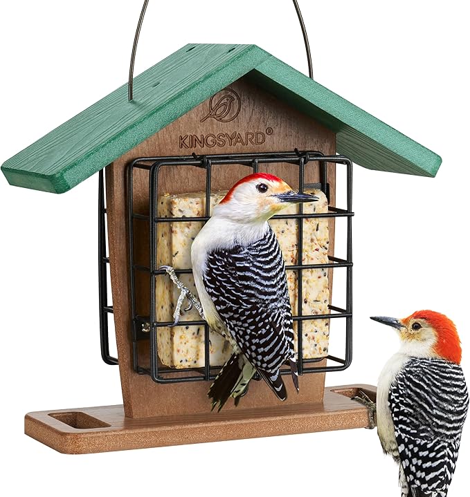 Kingsyard Recycled Plastic Double Suet Feeder with Rainproof Roof & Perch, Cage Suet Bird Feeders for Outdoors Hanging, Great for Woodpecker, Chickadee, Nuthatch (Green)