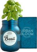 Hydroponic Herb Growing Kits - Catnip - Indoor Garden System in a Mason Jar - Herb Garden Kit for an Indoor Greenhouse - Indoor Plant Hydroponic Growing System w/Fresh Herb Seeds