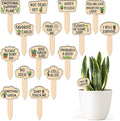 Huray Rayho Funny Wooden Plant Markers for Succulent Flowers Greenery Plants Tags 15-Pack Waterproof Wood Plant Labels Outdoor Indoor Patio Supplies Garden Stakes for Potted Plant Novelty Gifts