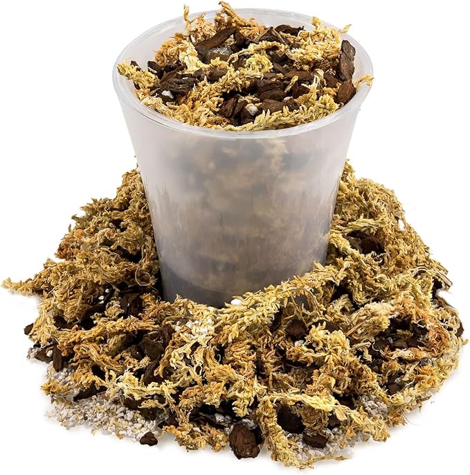 Premium Sphagnum Moss, Perlite and New Zealand Pine Bark Blend for Carnivorous Plants - Perfect for Venus Fly Traps, Pitcher Plants, Sarracenia, Butterworts, and Sundews by GARDENERA - 4 Quart Bag
