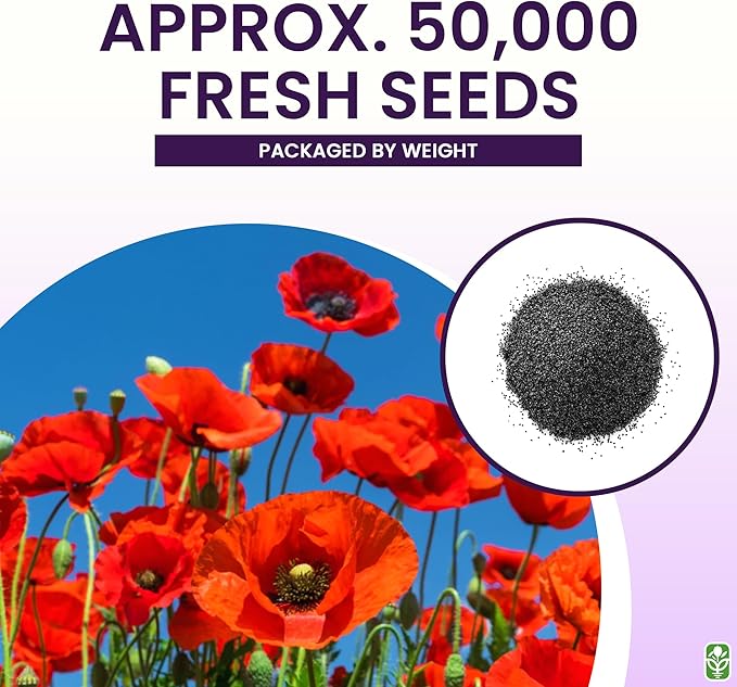 Red Flanders Poppy Seeds for Planting - 50,000+ Fresh Flower Seeds - Grown in The USA - Spring Blooming Wildflower