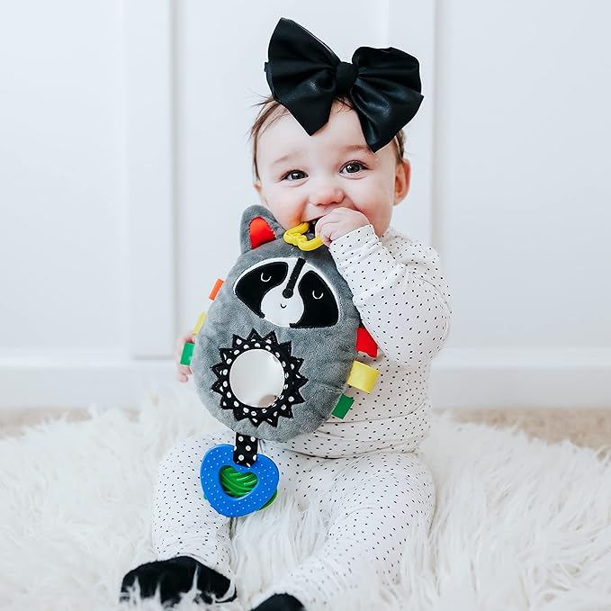 Squish 'N Play Raccoon Activity Toy- Multi-Sensory Learning Baby Toy - Stroller Toy, Car Seat Toy, Tummy Time Toy, Teether Toy, Baby Gift - with Mirror, Rattle & Taggies
