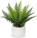 DILATATA Faux Plant Indoor in Ceramic Pot 13" Artificial Potted Fern Fake House Plants for Desk Office Bathroom Garden Decoration