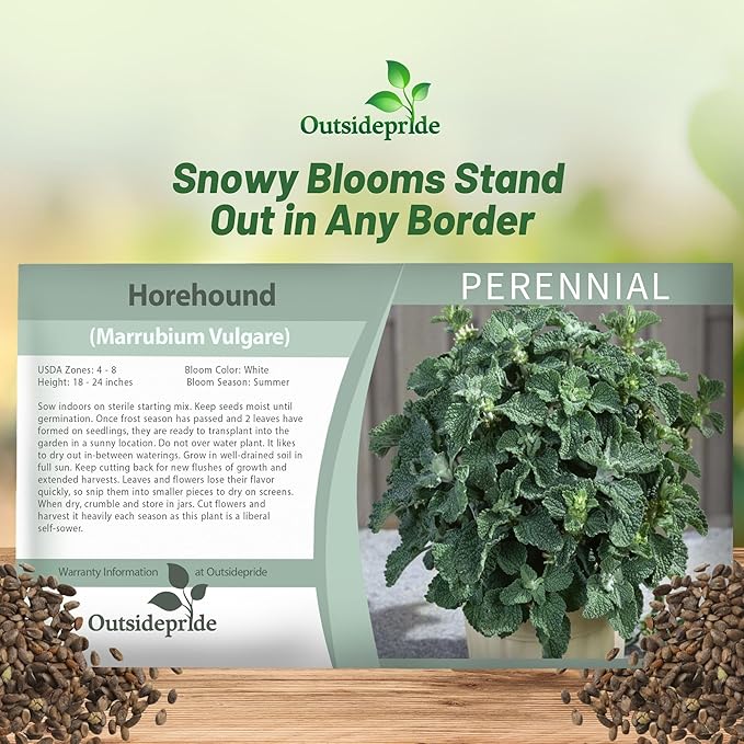 Outsidepride - Horehound Seeds - 10000 Pcs. Perennial, Compact, Easy to Grow & Pollinator Friendly, Herb Seeds for Planting Toothed, Wooly Gray-Green Foliage for Versatile & Culinary Uses