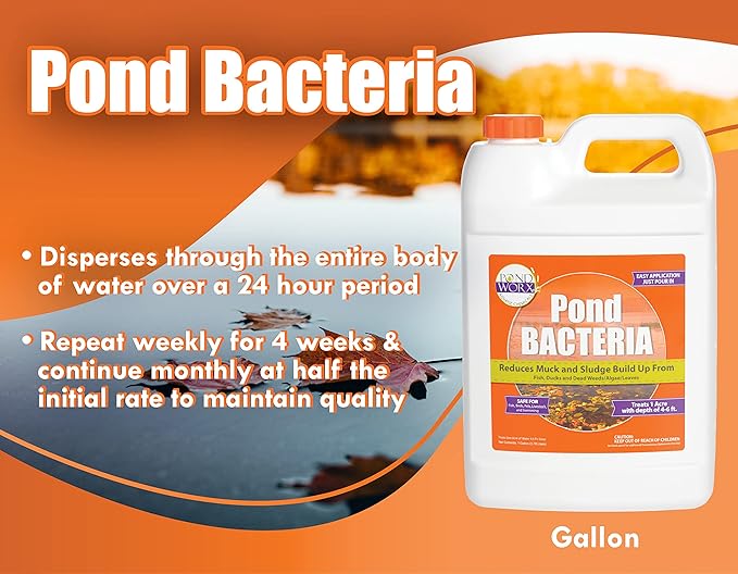 PondWorx Pond Bacteria - Formulated for Large Ponds, Water Features and Safe for Koi - Gallon