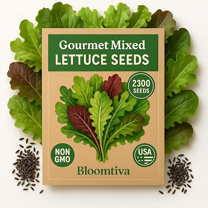 Lettuce Seeds – Gourmet Mixed Greens Blend for Planting | 2300 Bulk Non-GMO USA Heirloom Seeds – Crisp, Fresh & Fast-Growing Garden Variety (Lactuca Sativa)