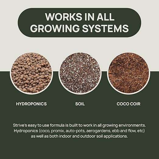 Strive Fertilizer Starter Kit Combo - Veg + Bloom General Hydroponic Nutrients - Indoor, Outdoor and Soil Growing Plant Food - Booster for Vegetables, Succulents, Flowers (Trial Combo 300 Grams)