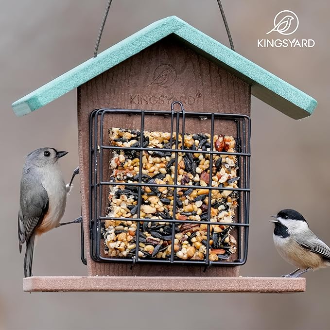 Kingsyard Recycled Plastic Double Suet Feeder with Rainproof Roof & Perch, Cage Suet Bird Feeders for Outdoors Hanging, Great for Woodpecker, Chickadee, Nuthatch (Green)