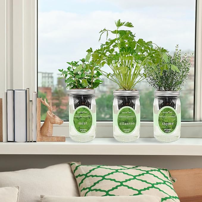 Hydroponic Growing Kit Set, Self-Watering Mason Jar Herb Garden Starter Kit Indoor, Window Herb Garden, Grow Your Own Herbs from Organic Seeds (Mint, Cilantro and Thyme)