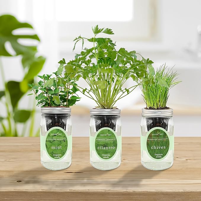 Hydroponic Herb Growing Kit Set, Self-Watering Mason Jar Herb Garden Starter Kit Indoor, Grow Your Own Herbs from Seeds (Cilantro, Mint & Chives)