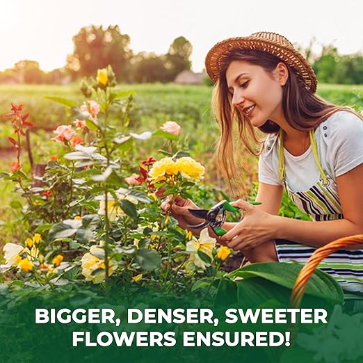 BuildASoil Vegan Bloom Booster & Flower Fertilizer – Organic Hydrangea & Rose Fertilizer Plant Food, Bloom Booster Fertilizer for Outdoor Gardens & Houseplants – Natural Soil Flower Food, 1 LB Bag