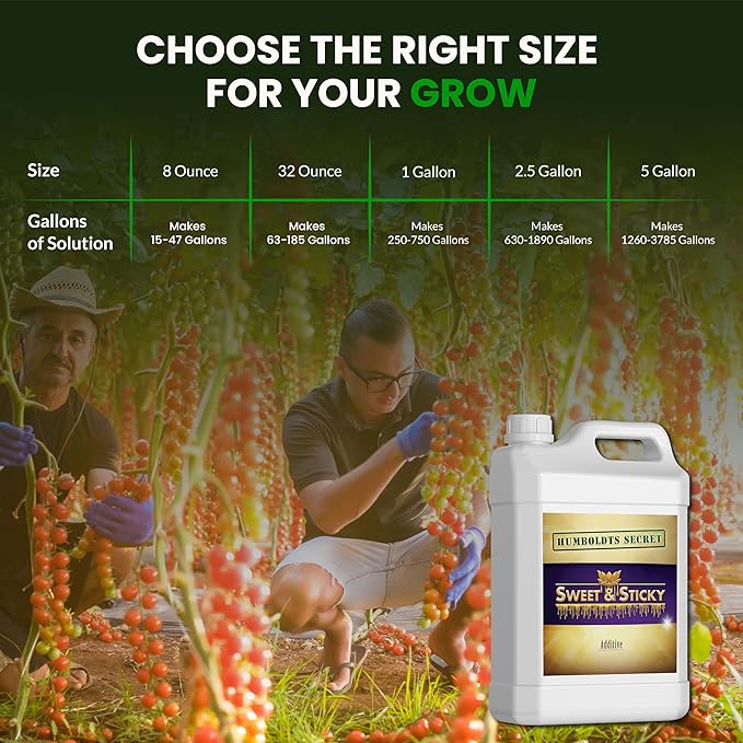 Humboldts Secret Sweet & Sticky Carbohydrate and Saccharide Plant Energy Additive | Indoor and Outdoor Plant Nutrients Enhancer for Growth and Aroma | Boosts Flavor and Resin Development | 32 Ounce