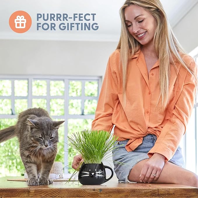 The Cat Ladies Organic Cat Grass for Indoor Cats - Growing Kit with Organic Seed Mix, Soil and Black Cat Planter. Natural Hairball Control and Digestion Remedy, Cat Gifts