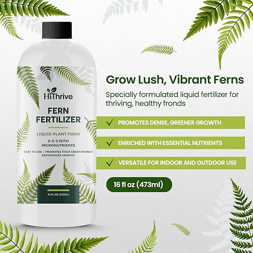 16oz Fern Fertilizer for Live Ferns - Makes 32 Gallons of Fertilizer for Ferns, Indoor Plant Food for Greener Growth and Dense, Resilient Fronds with Intricate Texture - Ideal for All Fern Plant Live