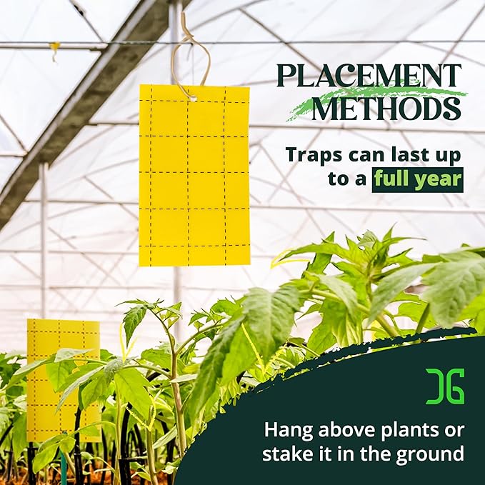 Catchmaster GRO Yellow Regular Double Sided Sticky Traps 72PK, Adhesive Bug & Fruit Fly Trap, Pest Control for Home, Farm, Garden, Hydroponics & Greenhouse, Protect Live Plants Indoor & Outdoor
