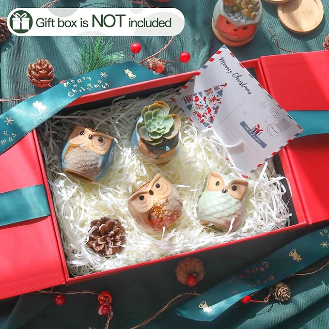 T4U 2.5 Inch Owl Ceramic Succulent Planter Pots with Drainage Hole Set of 12, Mini Cactus Pots Tiny Cute Plant Holder Container Best for Home Office Decor Gardening Gift