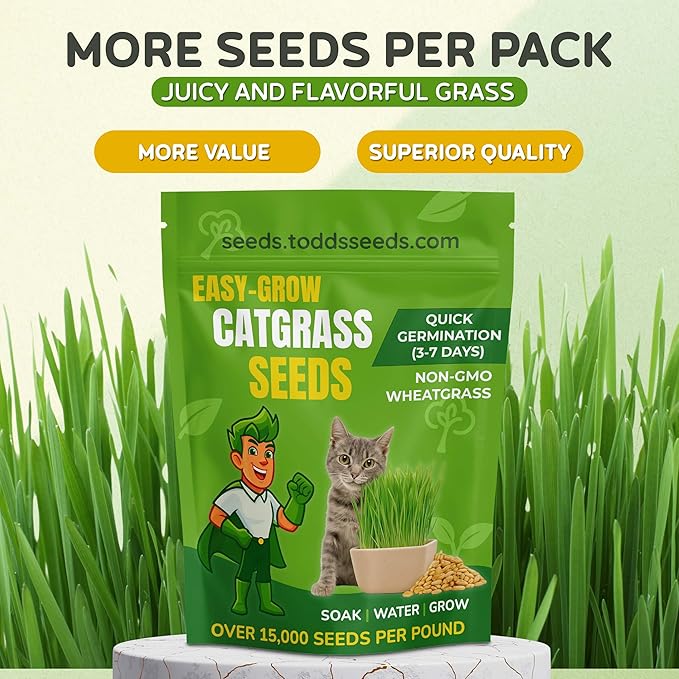 Todd's Seeds – Cat Grass for Indoor or Outdoor Cats, 1lb Wheatgrass – Premium, 100% Chemical Free (Better Than Organic) Non-GMO, Pet-Safe & Easy to Grow in 5-7 Days – No Special Equipment Needed.
