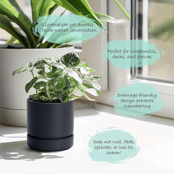 Phoenix Vine 4 Inch Planter Pot with Drainage Hole & Saucer, Deep Water Catch Tray, Straight Cylindrical Round Pot for Plants, Matte Black, Pack of 2, 23-C-R-2