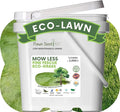 Flawn Seed Kits Mow Less Fine Fescue Eco-Grass Seed, 4 Lbs, Low Maintenance Lawn, Resealable Pail with Handle, Covers up to 2000 Sqft