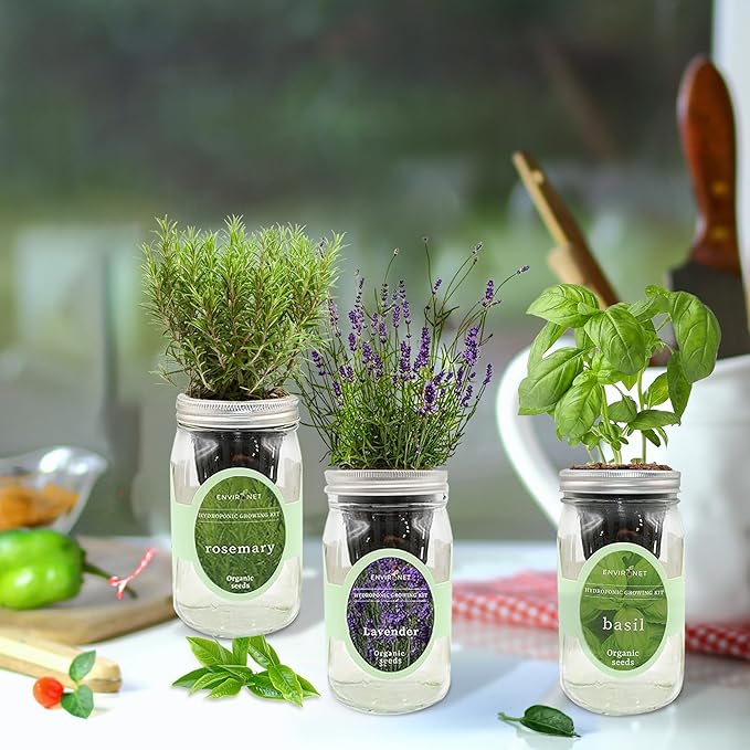 Hydroponic Herb Growing Kit Set, Self-Watering Mason Jar Herb Garden Starter Kit Indoor, Grow Your Own Herbs from Seeds (Lavender, Rosemary & Basil)
