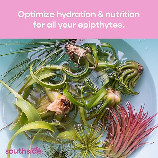 Air Plant Fertilizing Concentrated Soak by Southside Plants - Fertilizer Mist for Houseplants, Weekly Plant Food - Gentle Mist Formula for Miracle Feed & Grow - 1 oz