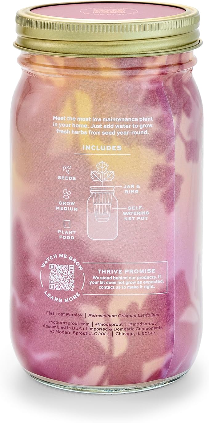 Modern Sprout Mason Garden Jar - Self-Watering Hydroponics Growing System Kit with Organic Herb Seeds - Jar Planter for Indoor Herb Garden - Seed Starter Kit - Home Decor & Gifting - Parsley