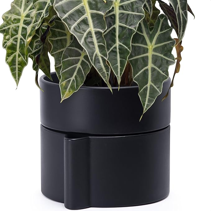 Phoenix Vine 8 Inch Self-Watering Planter Pot with Terracotta Insert, Deep Water Reservoir, and Ceramic-Alike BPA-Free Plastic Planter Pot for Plant, Modern Planter for Houseplants, Black, 53-A-T-2