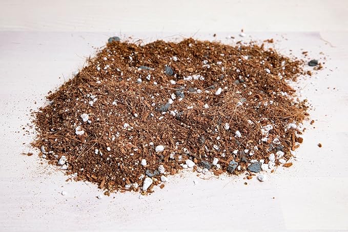 rePotme All Purpose Potting Soil for Indoor and Outdoor Plants, Organic and Made in The USA, Houseplant and Tropical Classic Potting Mix (Standard Bag, 8 Quarts)