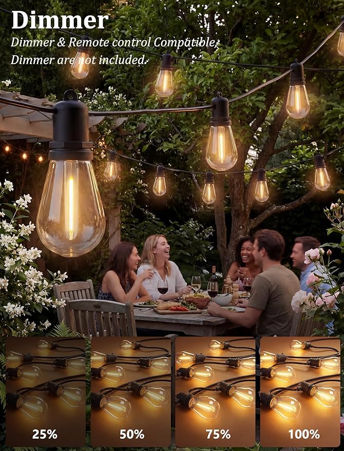 S14 Patio String Lights, 30FT Outdoor Patio String Light with 11 Clear LED Bulbs (1 Spare), UL Certified Waterproof Hanging Lights for Outdoor & Indoor - Commercial Grade Black Wire