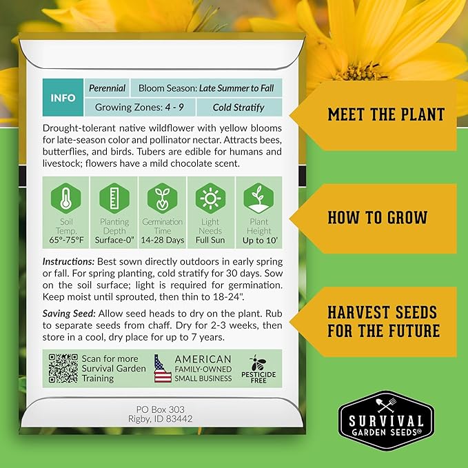 Survival Garden Seeds - Maximilian Sunflower (Helianthus maximiliani) | 10-Foot Prairie Giant | Fall Blooming Pollinator Magnet | North American Native Wildflower Seed for Planting - 1 Pack