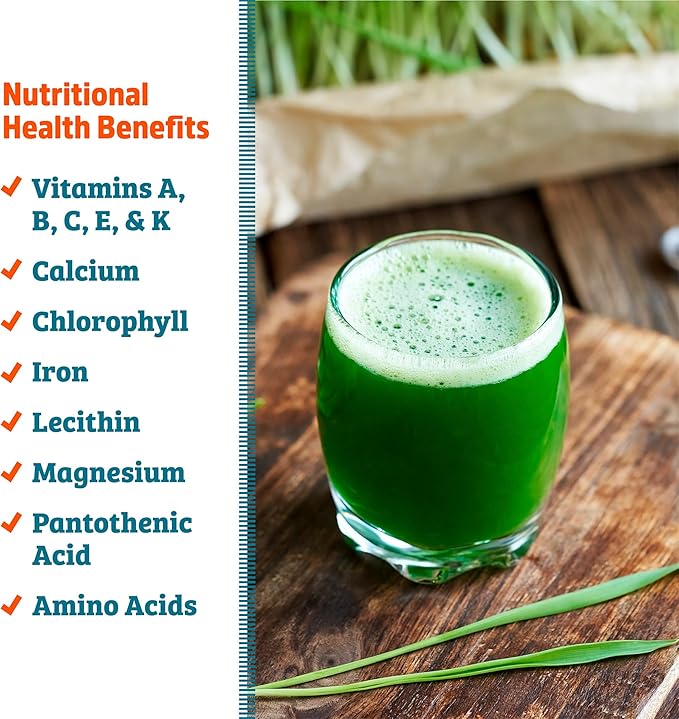 Back to the Roots 100% Organic Wheatgrass Seeds | 1 Pound Non-GMO | Nutrient Dense, Easy to Grow | Cat Grass Planter Seeds