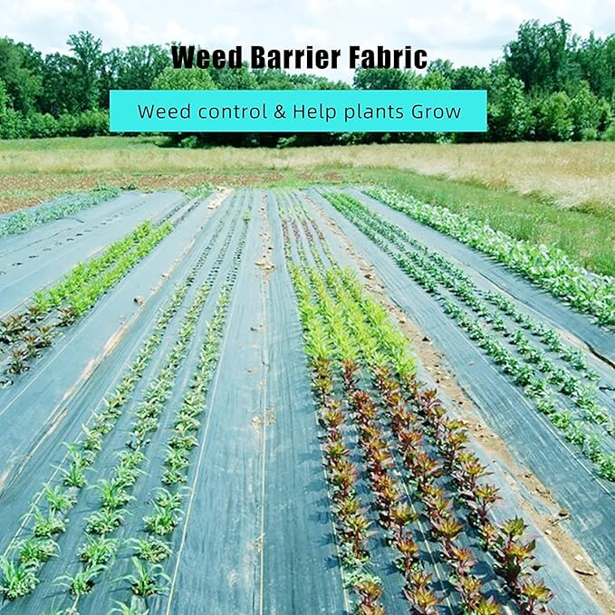 6ft X 300ft Weed Barrier Landscape Fabric Heavy Duty, Premium 2.4 oz Ground Cover Weed Block Gardening Mat, Easy Setup & Superior Weed Control, for Erosion Control, Weed Barrier