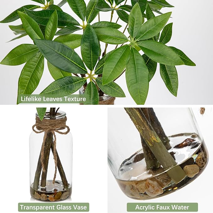 Faux Greenery Stems in Vase Aritificial Money Tree Plant in Glass Vase with Faux Water & Stones 14.2" Small Potted Plants Arrangement Centerpieces for Farmhouse Kitchen Dinner Tables Greenery Decor