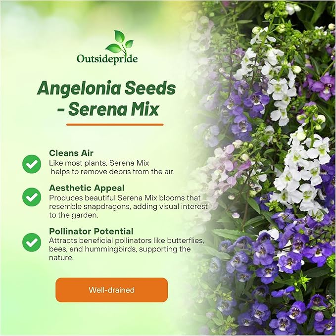 Outsidepride Serena Mix Angelonia Snapdragon Seeds for Planting - 10 Pcs Perennial Flower Seeds, Pollinator-Friendly, Heat, Humidity & Drought-Tolerant, Compact Growth Habit for Containers