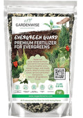Evergreen Fertilizer – All-Purpose Granular Plant Food for Outdoor Trees and Shrubs, Azaleas, Magnolias, Pines & Arborvitae – Slow-Release Formula (5 quarts)