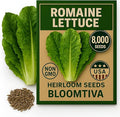 Romaine Lettuce Seeds – Parris Island Cos, 8000+ Heirloom Non-GMO Seeds, High Germination Bulk Pack, Grown in USA – Ideal for Indoor Hydroponic & Outdoor Vegetable Gardens